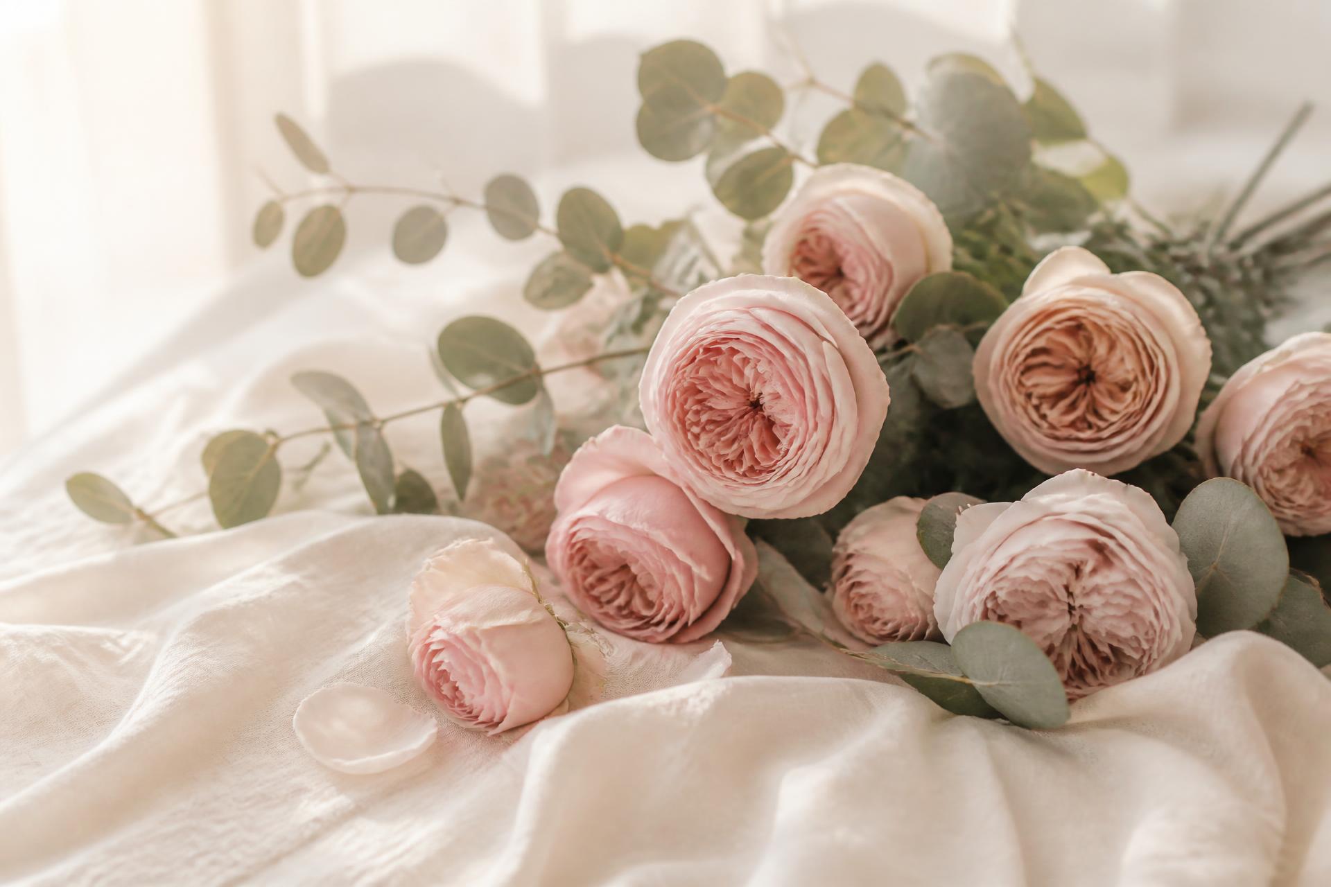 Soft blush roses and eucalyptus resting on ivory linen